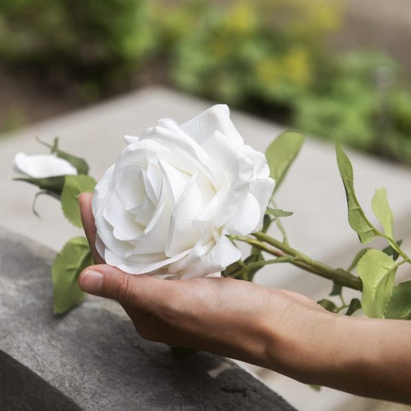 servicios_otrosservicios2